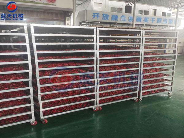 四川辣椒烘干房烘干現場